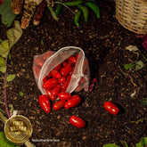 Jitomates cherry rojo orgánico (250g)